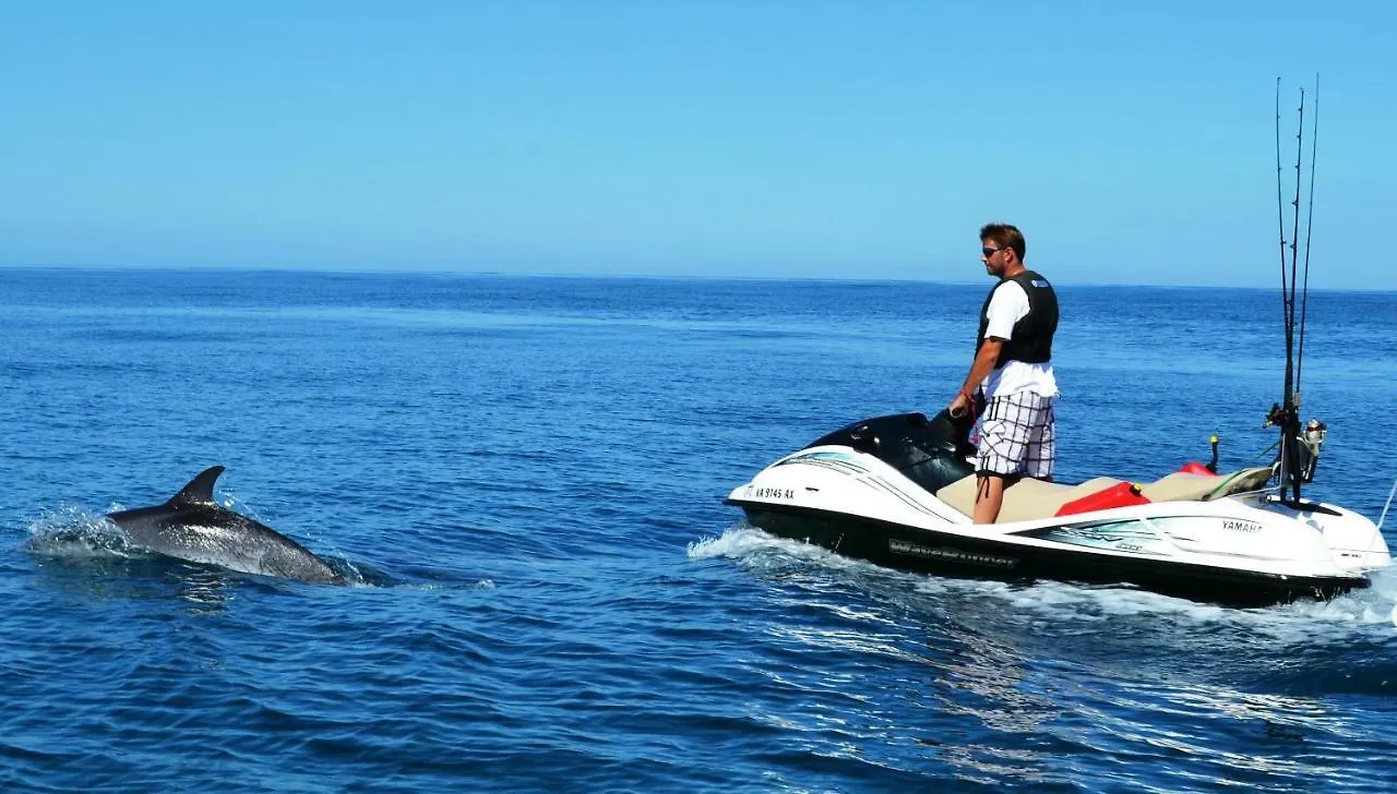 Ocean View Over Los Cristianos, Playa Las Vistas, Wifi 0*, Los Cristianos (Tenerife) Spain